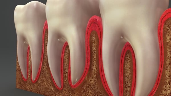 what is a root canal