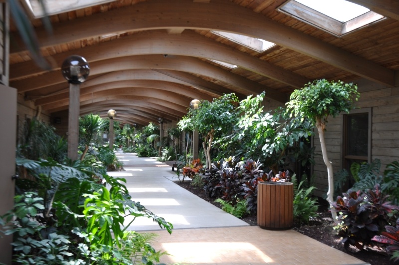 Contact Us William Linger, DDS, MAGD